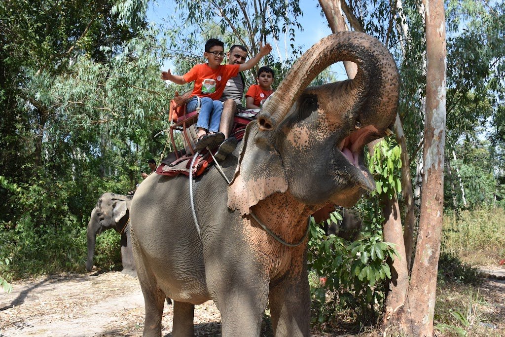 Чанг Тай Таппрайя Сафари (Chang Thai Thappraya Safari)