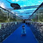 Стеклянный туннель в океанариуме Underwater World в Паттайе со скатами