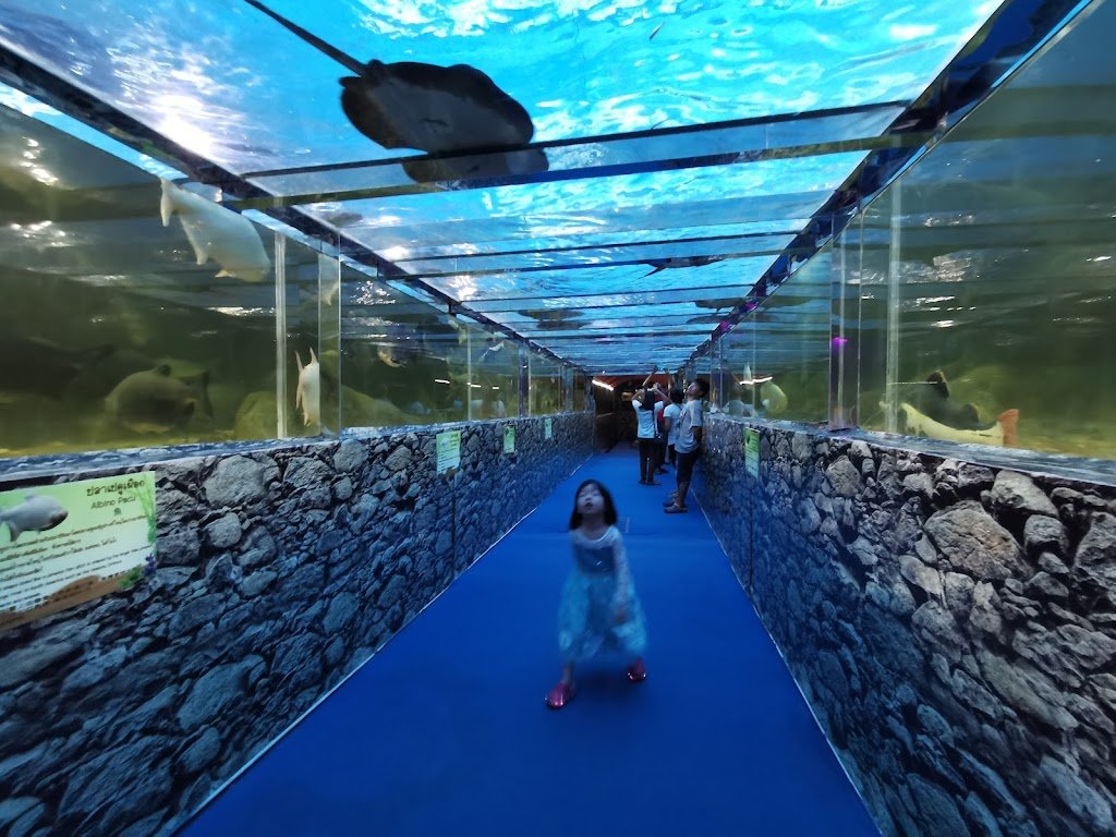 Монстр Аквариум (Monster Aquarium Pattaya)