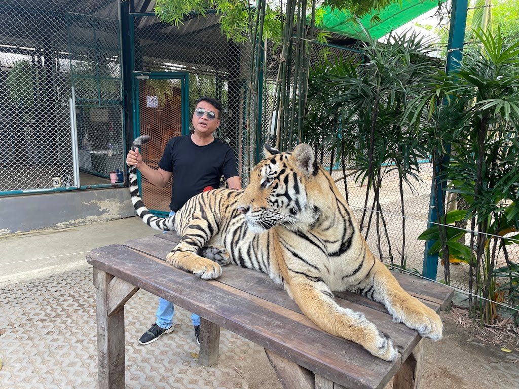Тайгер Топия Сирача (Tiger Topia Sriracha Zoo)