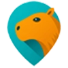 Capymapa — гид по Паттайе